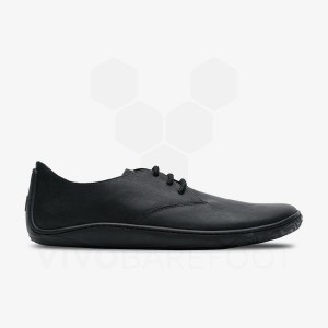 Black Men's Vivobarefoot Addis Oxford Lifestyle Shoes | IN143ZD