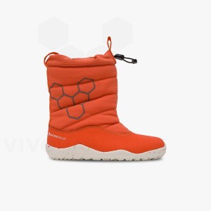 Pink Kids' Vivobarefoot Lumi FG Preschool Shoes | IN401BA