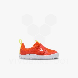 Pink Kids' Vivobarefoot Primus Sport III Toddlers Shoes | IN371FU